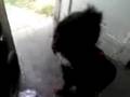 darion dancin pt2