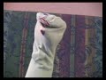 William the Sock Puppet