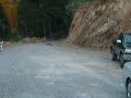 A Fox Visits Rivendell A Fox Visits Rivendell
