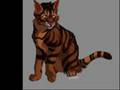 videos de Rebithing - Brambleclaw