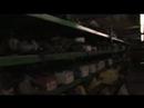 educational-show-transportation-part-2-of-2.html