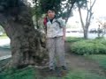 Negro califa.3GP