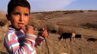 Four year old drover in Armenian village