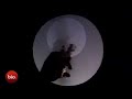 wonderful-world-shadow-puppet-by-raymond-crowe.html
