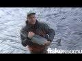 Gaula- June - Atlantic salmon - 18 lb