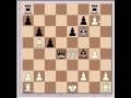 Letsplaychess.com presents: boris gelfand vs. alexander shabalov, 2004