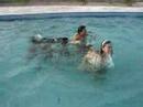 ferias mt boas