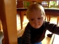 Our ever-curious Trevor