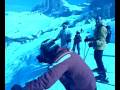 videos de FUORIPISTA  MOLTO GIBBOSO SU CHIACCIO VIVO. LUPO