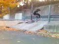 skatebaord phone clips