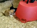 We need a home!