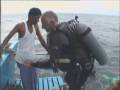2009-01-01 | Sharks in Thailand ~> www.john-tom.com video clips of Grey Reef Shark and photos of Leopard Sharks in Koh Tao and Koh Phi Phi ... (04:15)