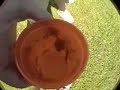 Pee Drink
