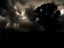 Eye of the Storm Trailer 2