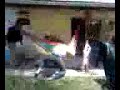 hamic flight