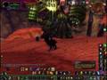 Voidwalker tanking  Fel Reaver after Patch 3.02