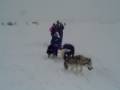 videos de gsw h; ndxc