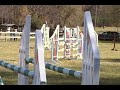 SummerWind Flyer -- Show Jumping at Pinetop horse trials