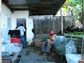 Cyrille Dening Tropical Fish Export