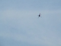 Helicopter aerobatics Helicopter aerobatics