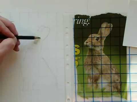 how to draw using a grid