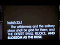 Eye On Israel Part 3