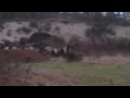 VID00016.MP4