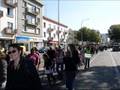 journ-e-mondial-des-