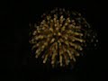 Fireworks, Cotton Bowl, part Three Fireworks, Cotton Bowl, part Three