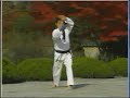 Taekwondo Kukiwon - Taebeak