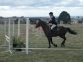 Showjumping 85cms