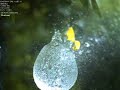 High Speed Camera of Balloon Full Of Water Popped 6000FPS