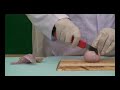Extraction of DNA SCIENCE FAIRE PROJECT