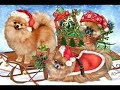 Sleigh ride - The voice of Andy Williams