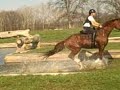 Hill N' Hound Schooling -- Jasmine Hobart Hill N' Hound Schooling -- Jasmine Hobart