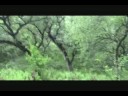 Rancho Los Banos Bird Watching (Ecotourism)