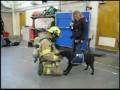 Service Dog Fire/Rescue De-sensitization
