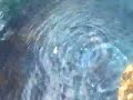 Water in Birdbath