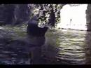 Float Dropping Action