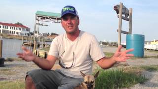 DockSide TV    Catching Drum Along the Trestle Image