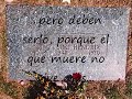 Efectos de las drogas Efectos de las drogas