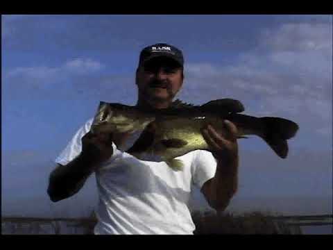 Lake Okeechobee Bass fishing