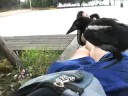 Ein sch�nes Erlebniss