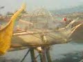 Click here to watch this video batang piapi