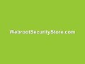 Demonstration of Webroot's Spy Sweeper anti-malware tool.