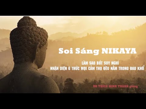 Soi Sáng NIKAYA - Làm sao bớt suy nghĩ - Nhận diện 6 thức - Mọi cảm thọ đều nằm trong đau khổ