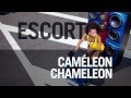 Escort Cameleon Chameleon Official Music Video and Lyrics
