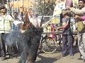 Bhopali Protestors Burning Tata