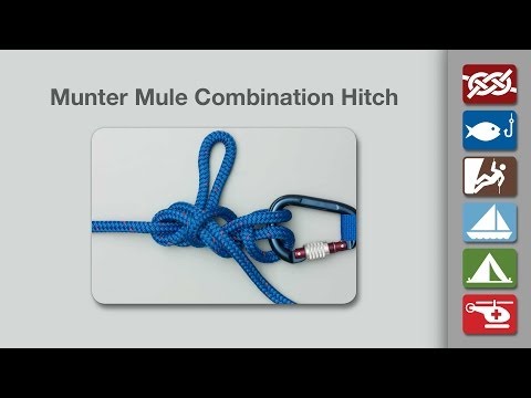 how to hitch a mule