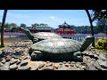 Daoist Alchemy - Art of Sacred Tortoise